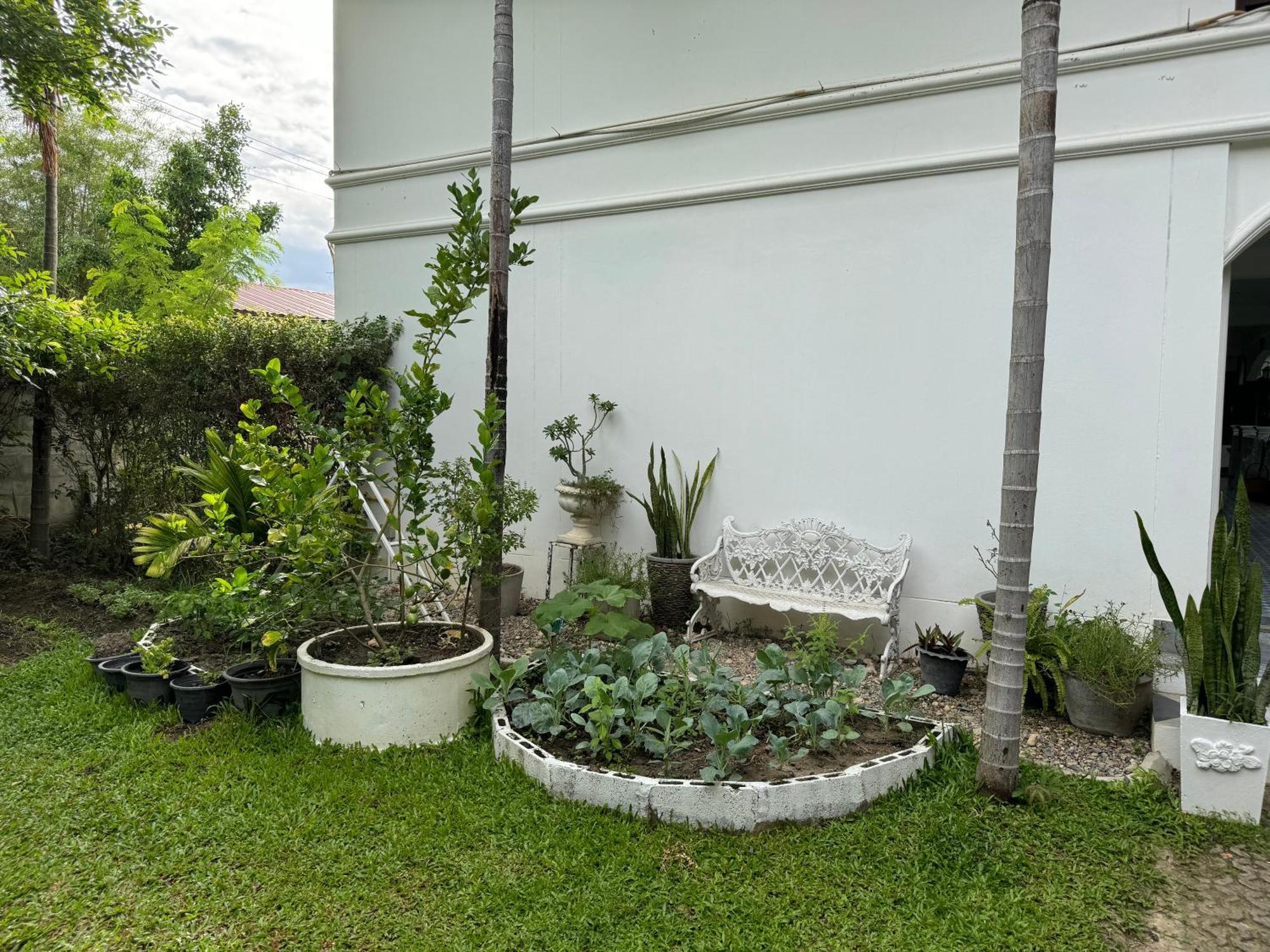 Chiang Mai Las Orquideas Resort Exterior foto